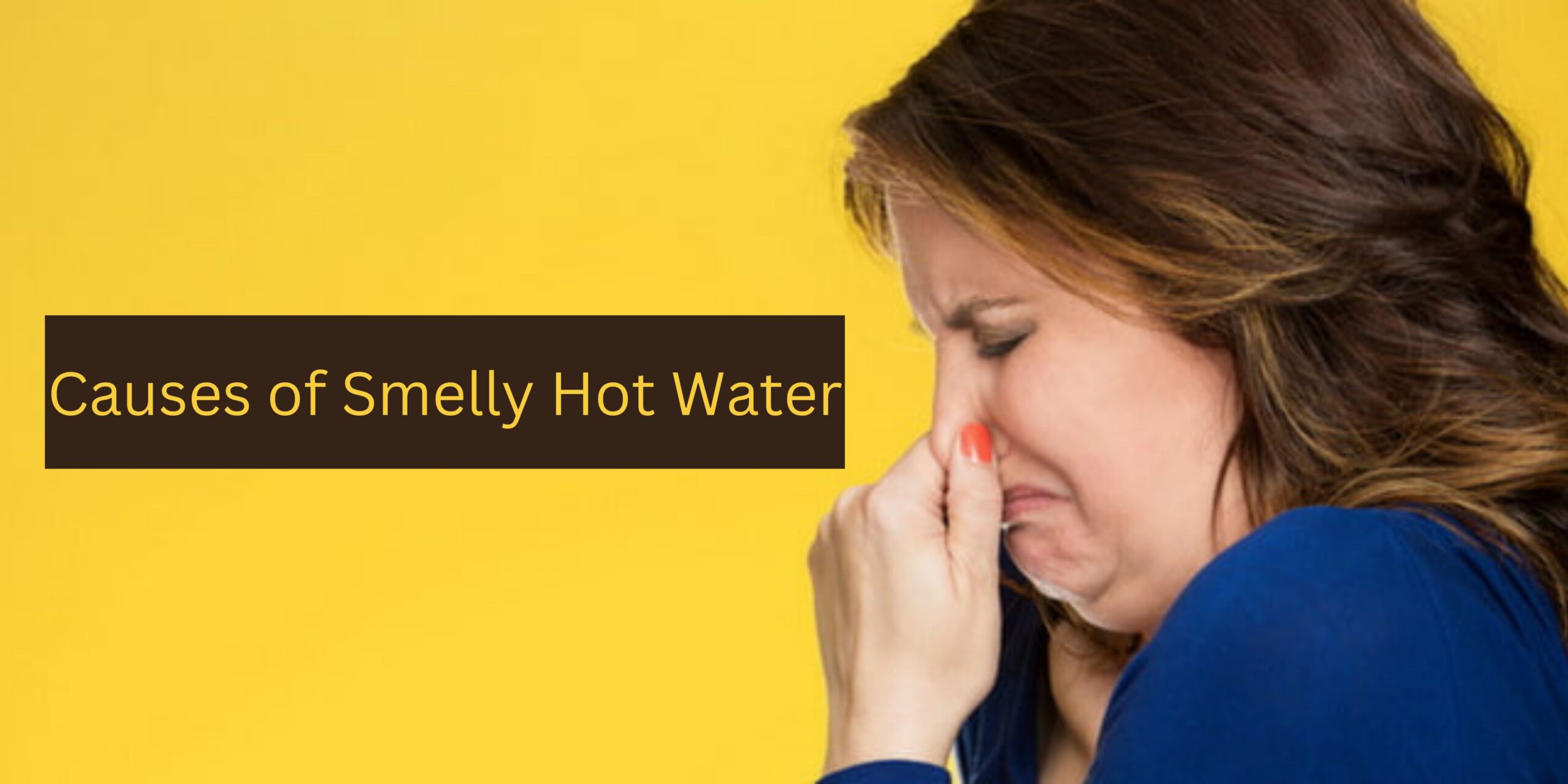 What Are The Causes of Smelly Hot Water?