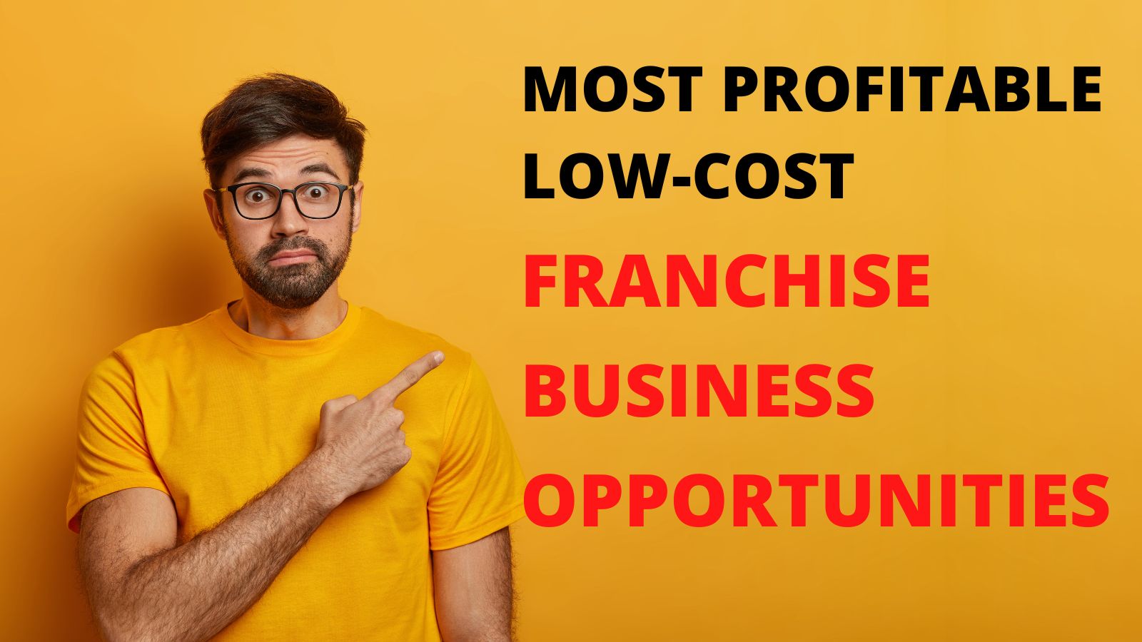 Low Investment Franchise Business in India