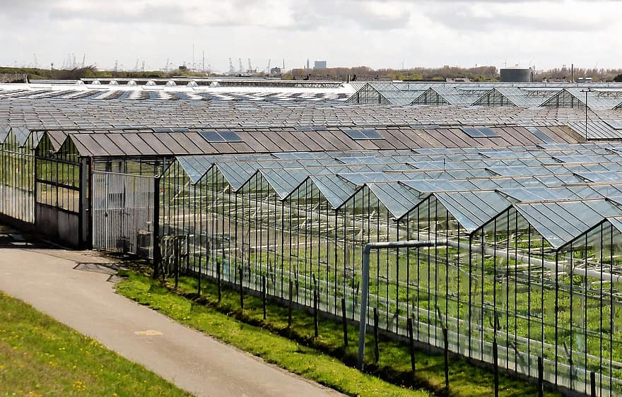 Glass House Agriculture: Know How It Controls The Environment!
